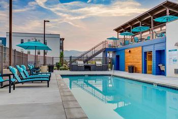 the pool at the graduate hotel